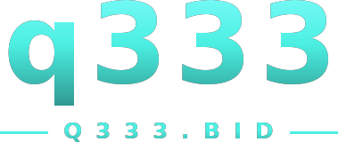 q333 logo